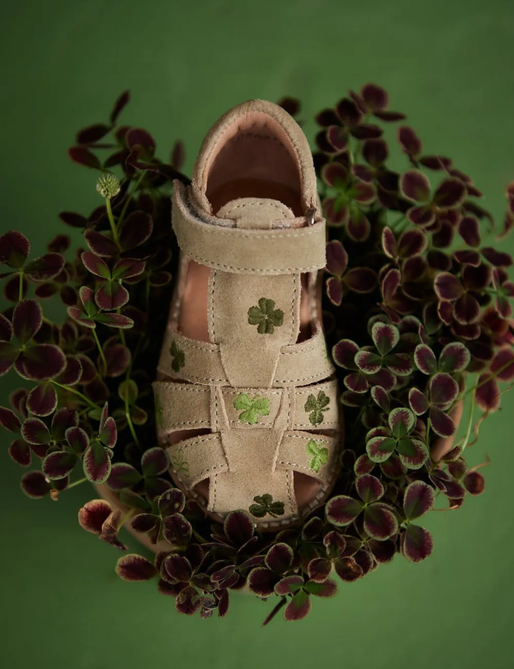 Clover Classic sandal - Pistachio