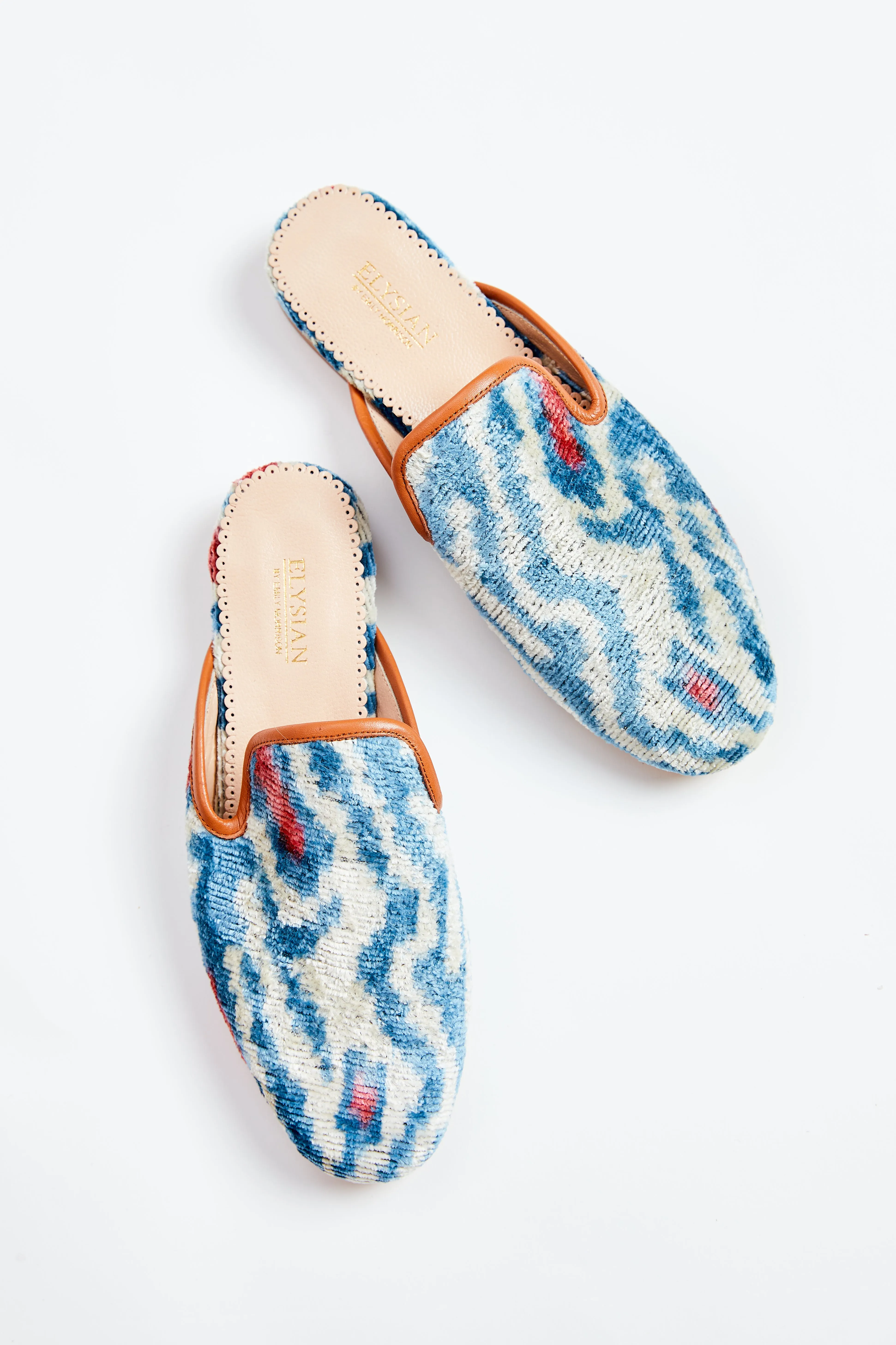 Cobalt Zebra Istanbul Slides