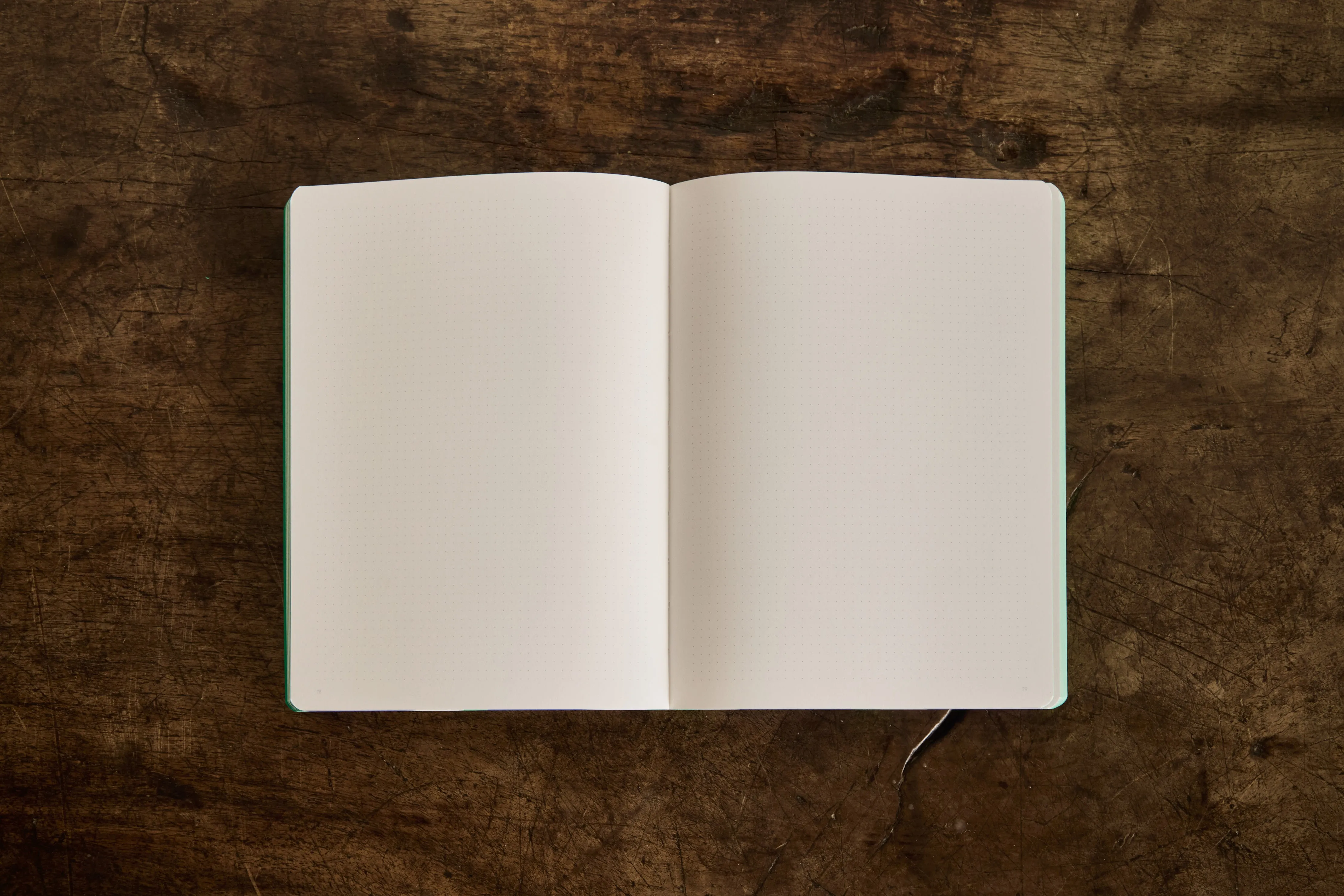 Green & Cobalt Recycled Leather Notebook
